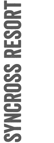 シンクロス説明